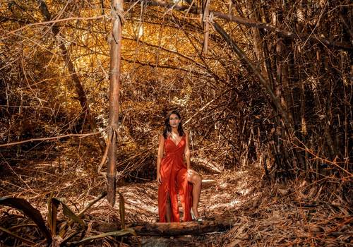 Ensaio Feminino de Giovanna - 15 Primaveras