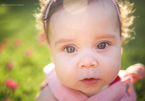 FAMÍLIA de Melina I Smash the fruit