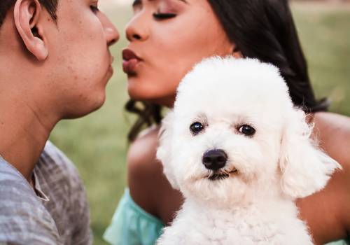 Pre Wedding de Ensaio Yan e Kedma