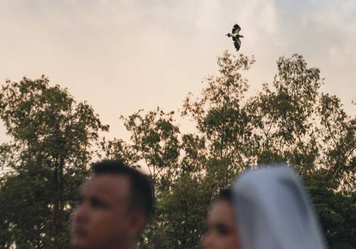 casamento de festa de casamento | denise e willian