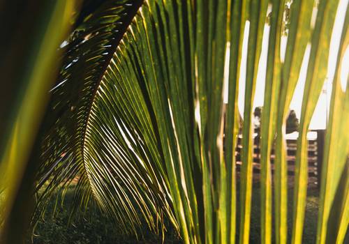 casal de ensaio de casal | amanda e christian