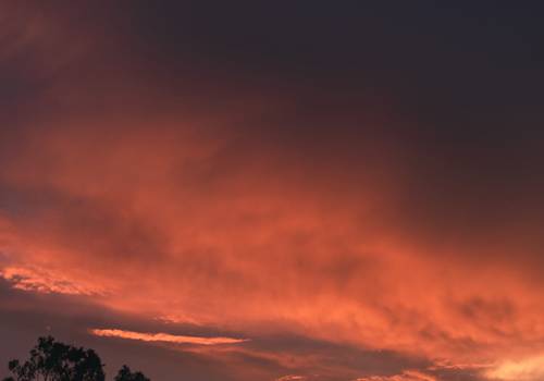 casal de ensaio de casal externo | maria e leno