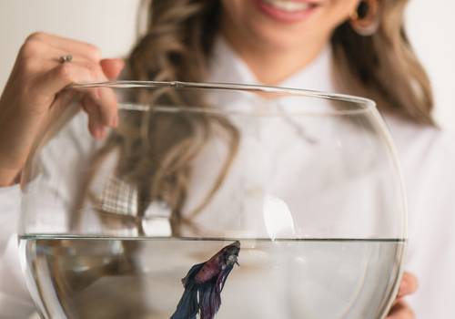 corporativo de ensaio corporativo no estúdio | psicóloga | mariana accorsi pereira