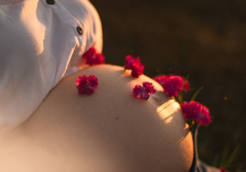 gestante de ensaio de gestante externo | laura maria