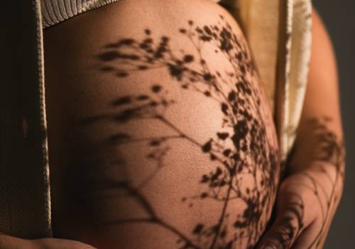 gestante de ensaio de gestante no estúdio | jorge