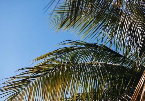 casamento de dia do casamento | hemilly e marcelo
