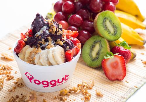 Fotografia Gourmet de Yoggut Catalão