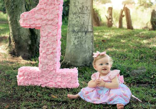 1 Ano de Manu