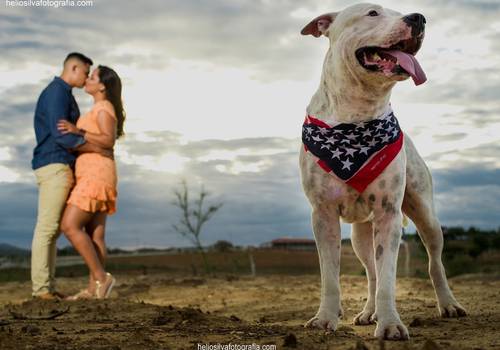 Pré Casamento de Cida e Albert