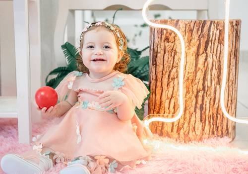 Aniversários Infantis de Aniversário 1 ano Luíza 