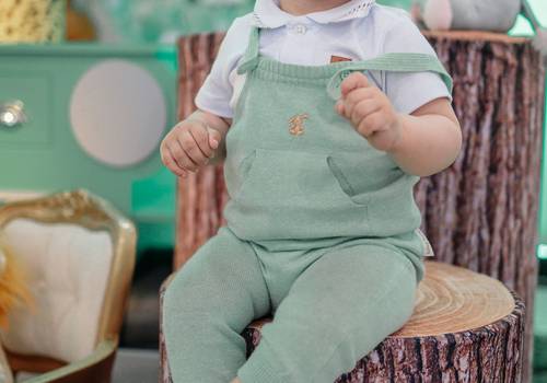 Aniversários Infantis de Aniversário 1 ano Antônio