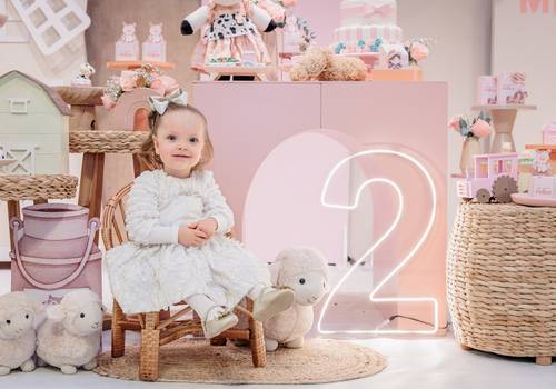 Aniversários Infantis de Aniversário 2 anos Melissa