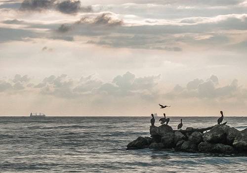 A (famosa) Regra dos Terços