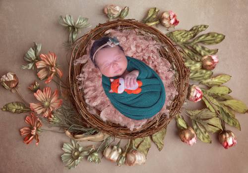 Newborn de Ensaio newborn Alice