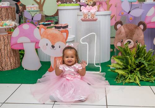 Aniversário Infantil de 1 ANINHO DA DUDA