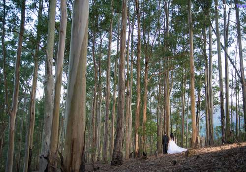 Trash The Dress de Marcos + Michele