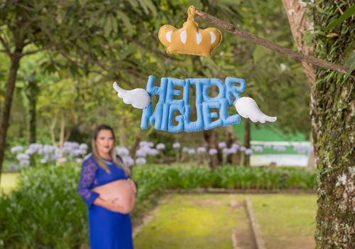 Gestante de Gestante Samara