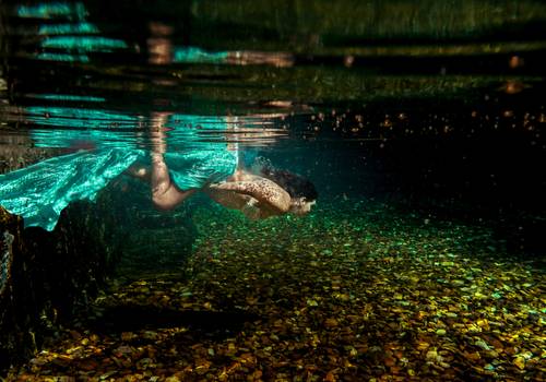 Ensaios Subaquático de Fotografia Subaquática