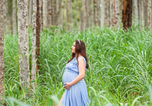 GESTANTES de ENSAIO GESTANTE EXTERNO