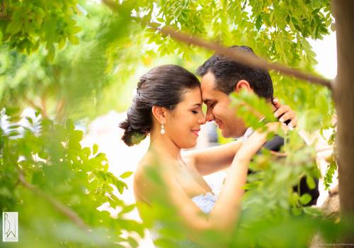 Casamentos de Amanda & Tontonho