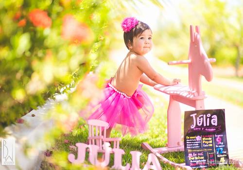 Ensaios de Júlia - 1 Aninho