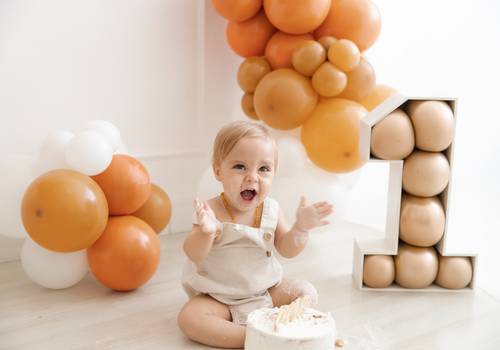 SMASH THE CAKE de RAVI - UM ANO - SMASH THE CAKE