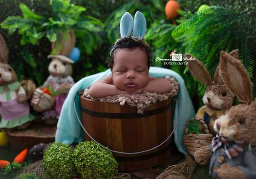 Newborn de Ensaio Newborn Mariana com 17 dias