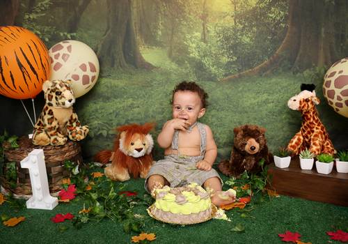 Smash the Cake de Smash The Cake Safari do Pedro