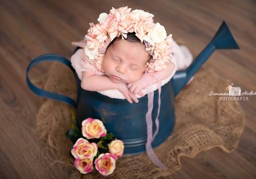 Newborn de Ensaio Newborn Julia