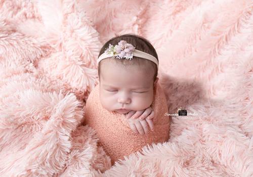 Newborn de Ensaio Newborn Domicilio Jade 16 dias