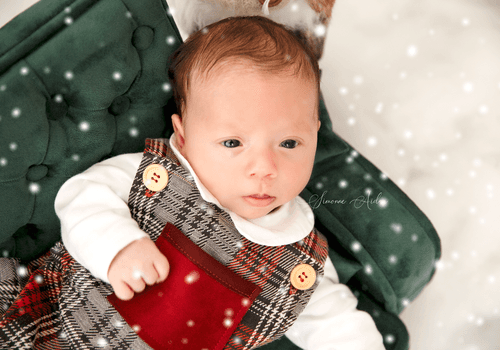 Ensaio Temático de Ensaio Natal Lucas