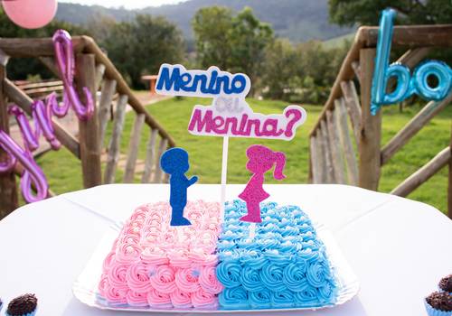 Chá revelação de Monica