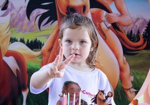 Aniversário Infantil de Catarina 3 anos