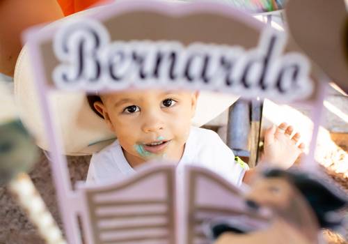Aniversário Infantil de Bernardo - 2 anos