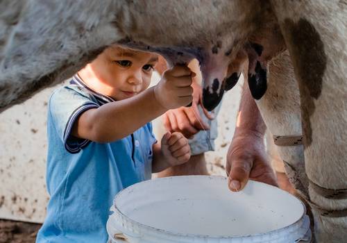 Fotografia documental de Bernardo - 2 anos