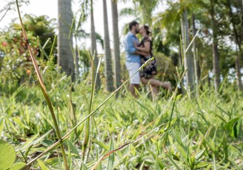 Pré Casamento de Ana Christina e Paulo Henrique