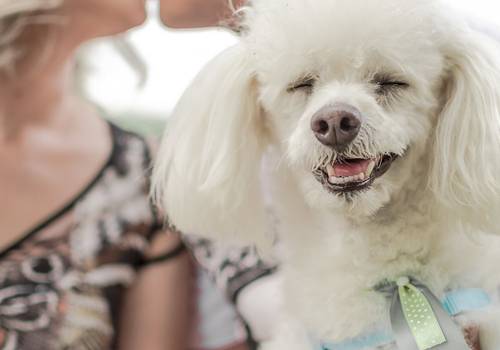 Pré Casamento de Leandra e Cleiber