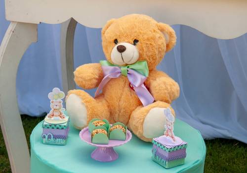 Gestante de Cha Revelação - Raphaela e Diego | DOM