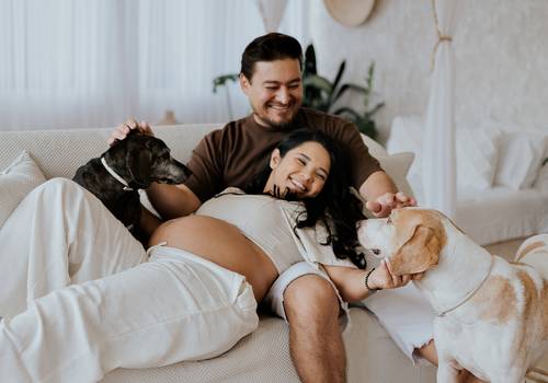 Ensaio Gestante de Espera de Nicolas - Karen e Nilson + Dogs