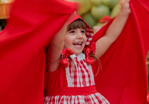 I N F A N T I L  de ANIVERSÁRIO - LUÍSA 4 ANOS