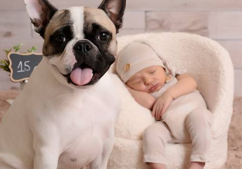 Ensaio Newborn de Newborn 15 dias do Pedro