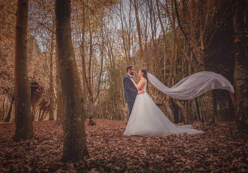 Casamentos de Sarah e António