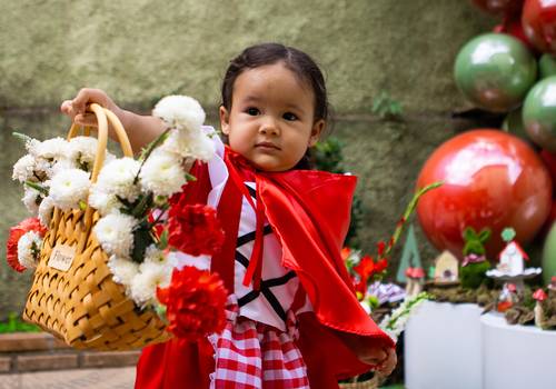Festa Infantil de 2 anos da Elis - Balneário Camboriu