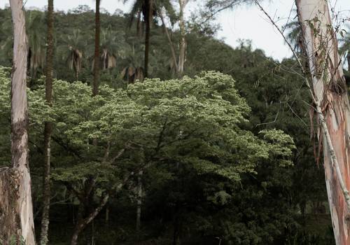 Pré-Wedding de Pré-wedding - Willian e Rafa - 