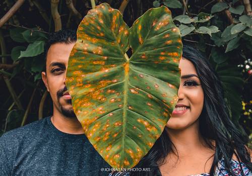 Casamento e Pré Wedding de Pré Wedding