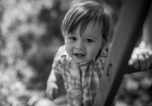 Famílias de Ensaio 1 aninho Yan