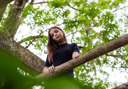 15 Anos de Vitória - 15 anos