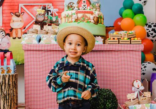 Festa Infantil de 2 Aninhos do Dom