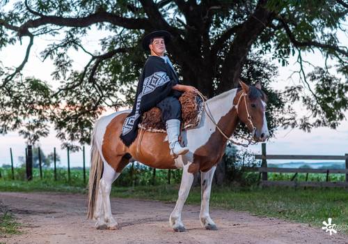 Ensaios de Pre´18th - Bernardo