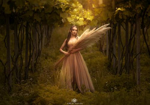 Ensaios 15 anos de Ana Júlia - Debutante